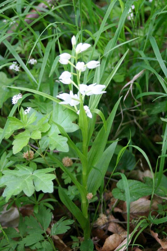 Killikus&reg; Fotographie